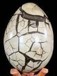 Huge, Septarian Dragon Egg Geode - Crystal Filled #50825-3